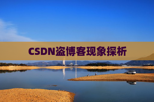 CSDN盗博客现象探析
